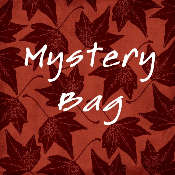 402 Mystery Bag 2XL  Layers of Tops