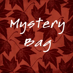 402 Mystery Bag 2XL  Layers of Tops