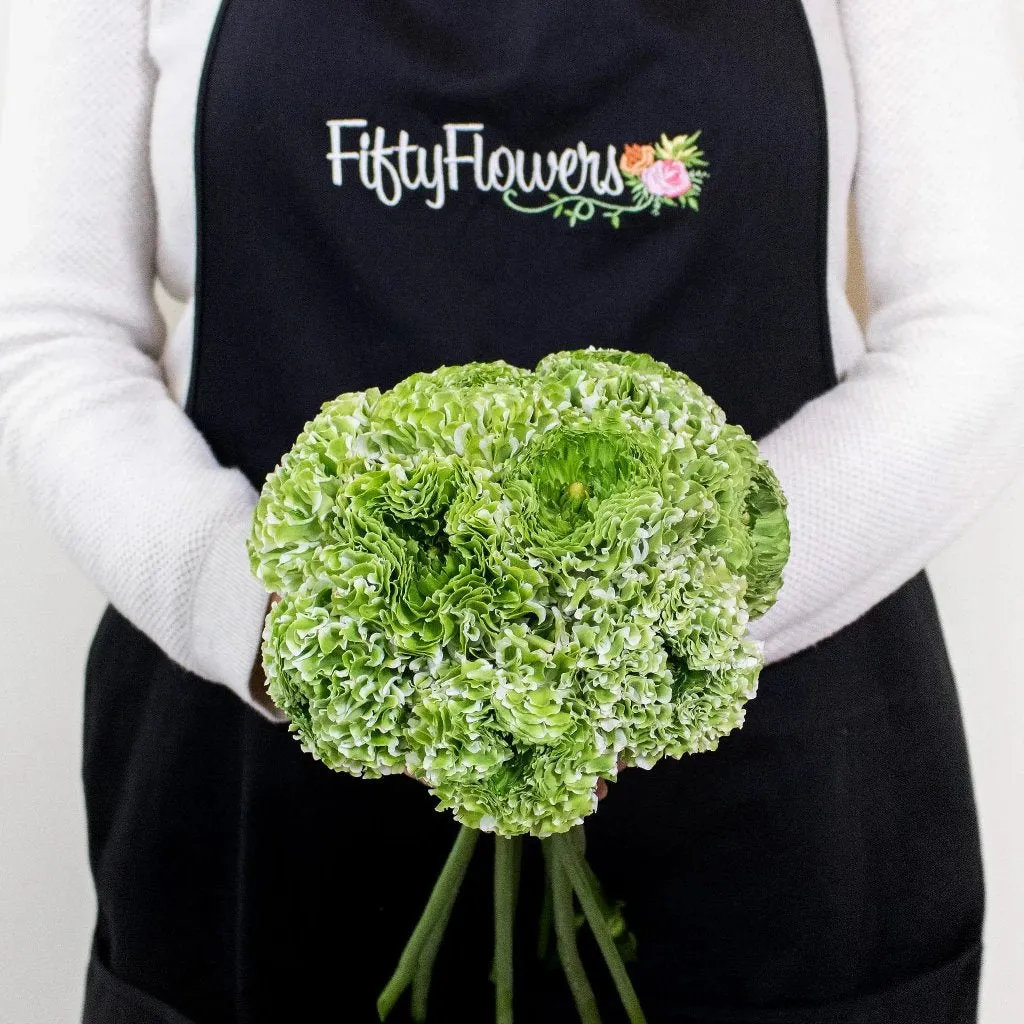 White and Green Pon Pon Ranunculus